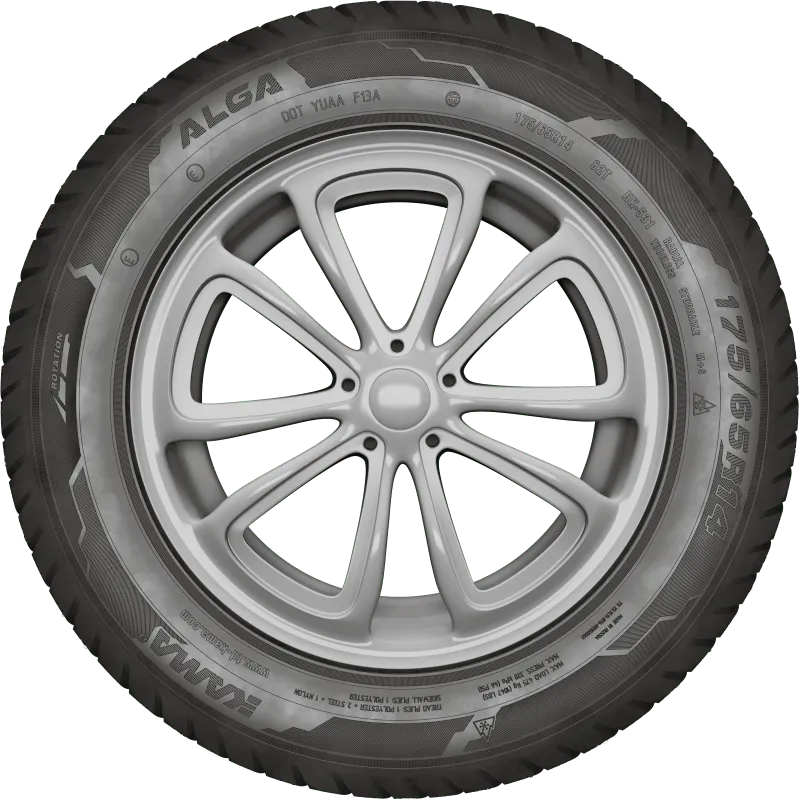 KAMA ALGA (НК-531) нешип в Верещагине — KAMA TYRES KAMA ALGA (НК-531) нешип в Верещагине